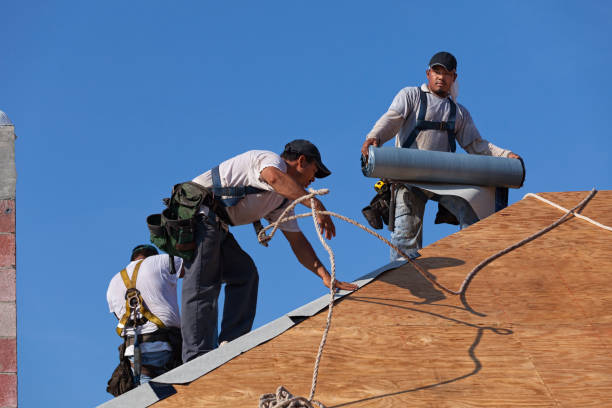 Roof Waterproofing Services in Apollo, PA