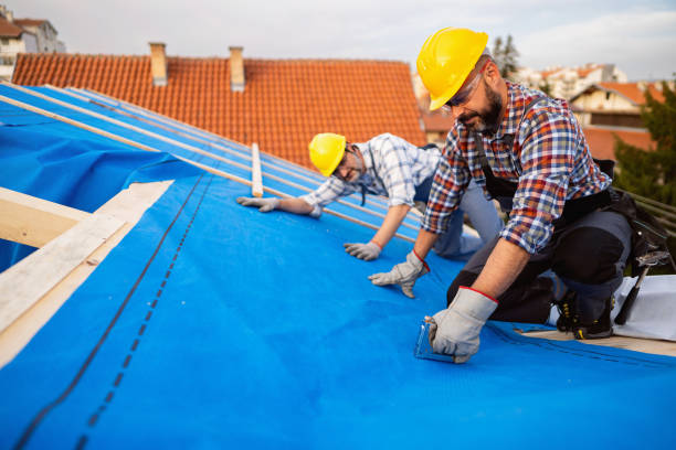 Best Roof Replacement Cost  in Apollo, PA